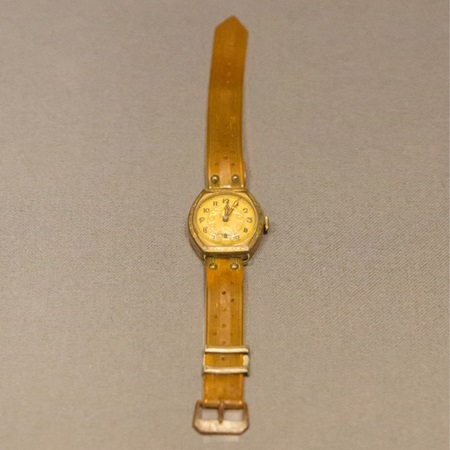 John Ritchie Johnston's watch