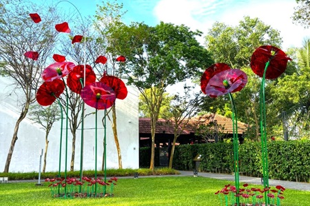 Dancing Poppies at Changi Chapel and Museum