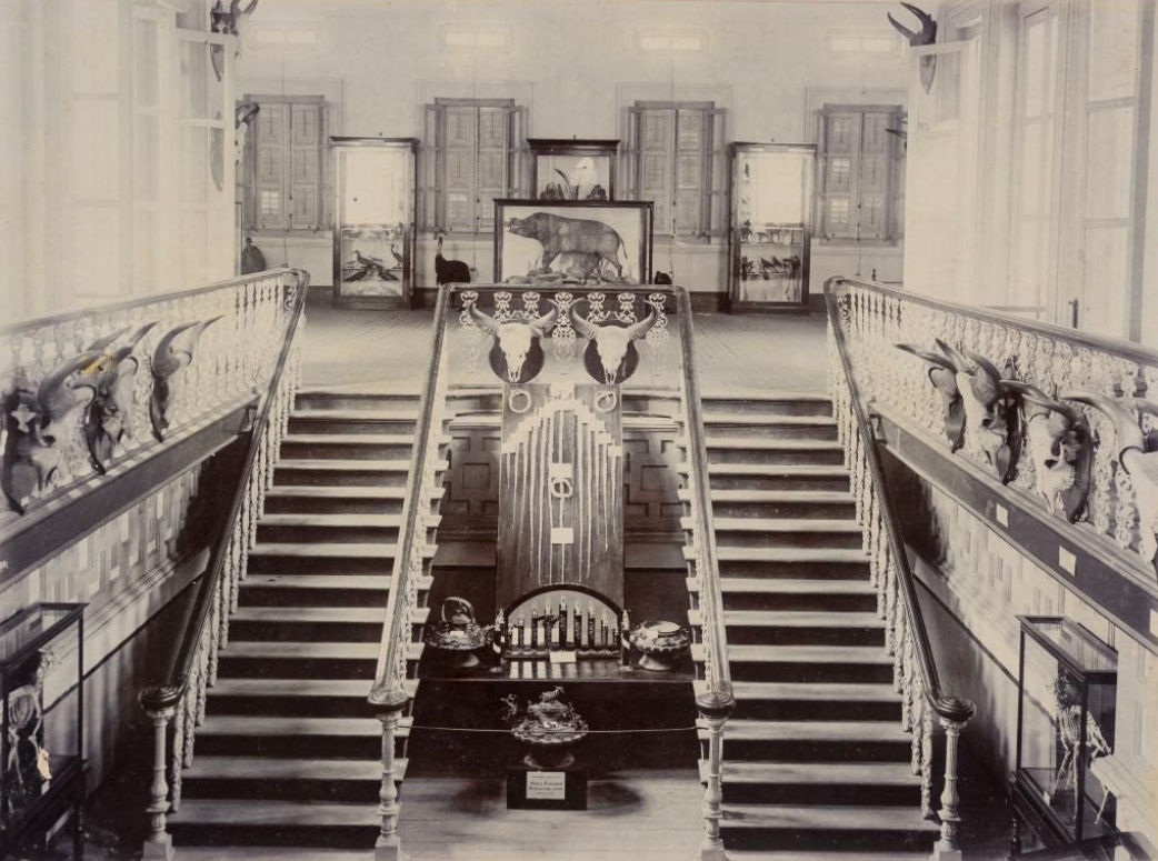 Raffles Museum in 1910