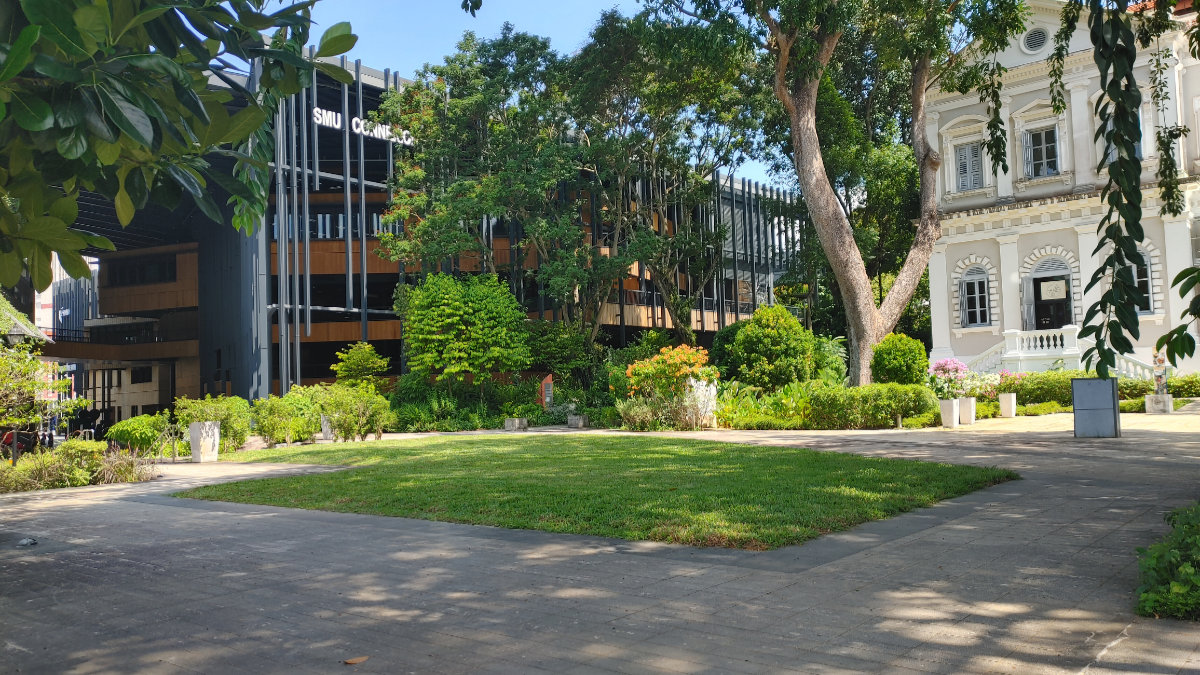 playground at NMS