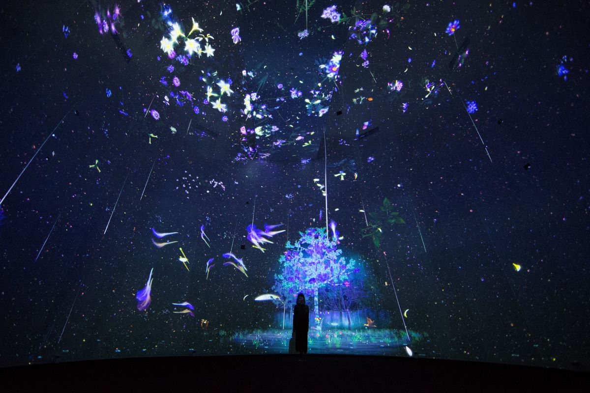 Story of the Forest by teamLab
