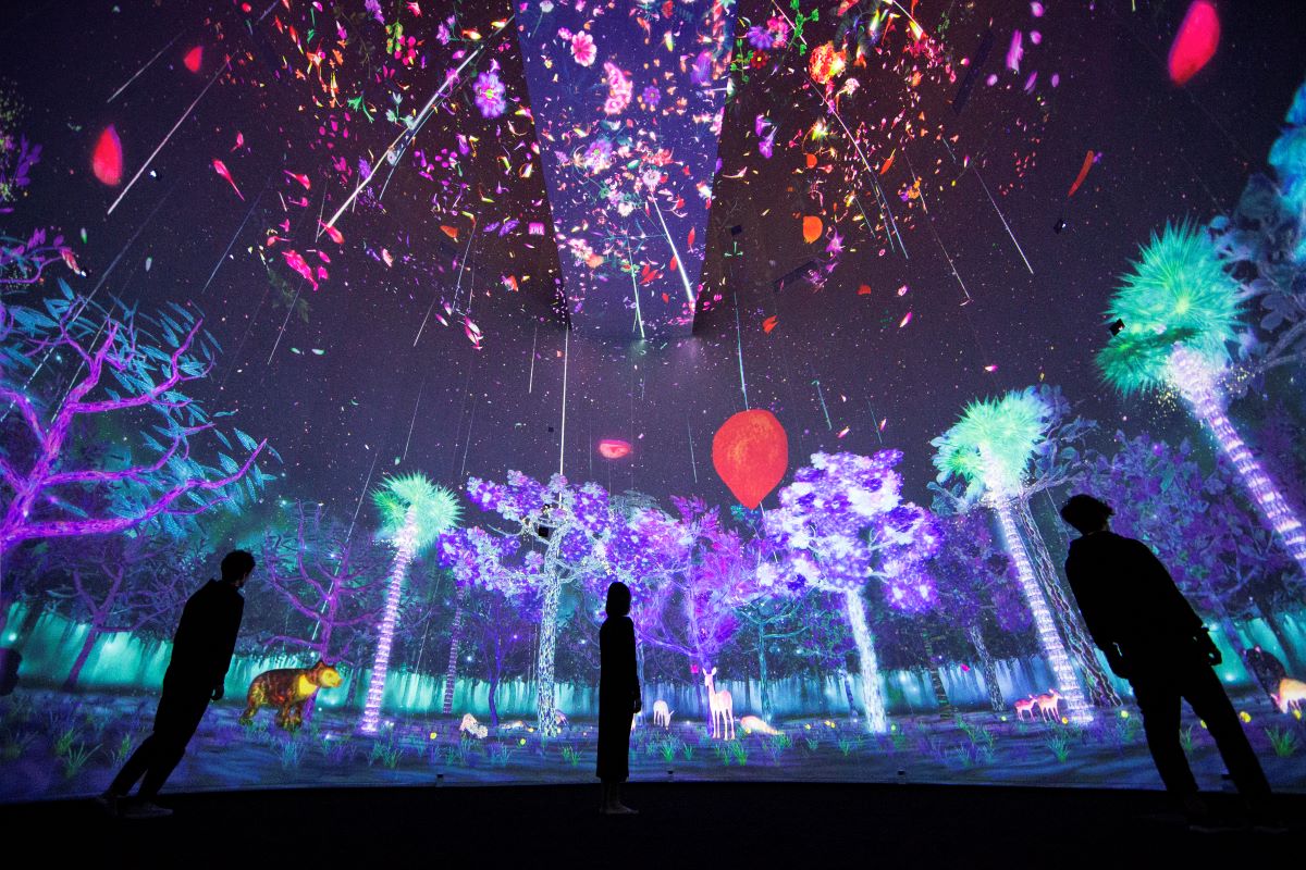 Story of the Forest by teamLab