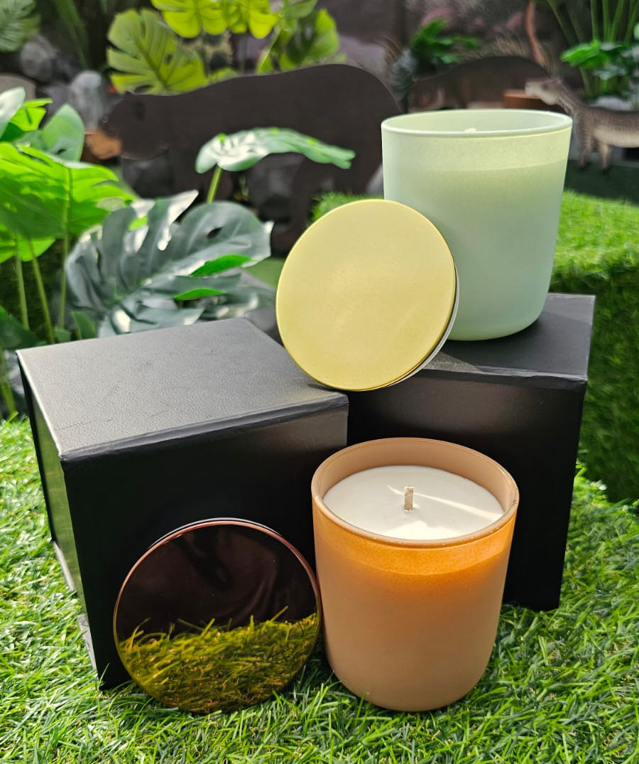 Story of the Forest Special Edition Candles