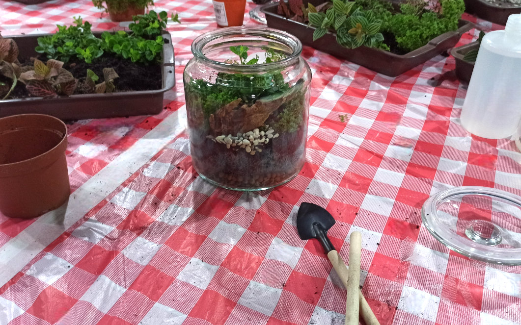 Terrarium workshop